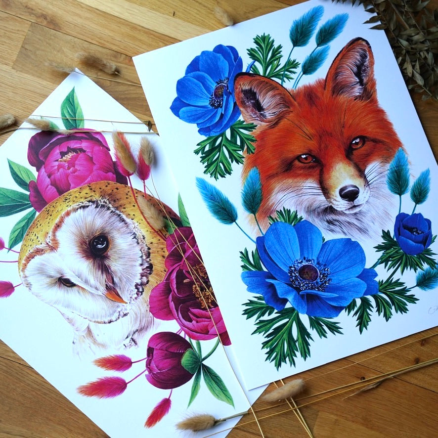 Owl and Fox Bundle A3