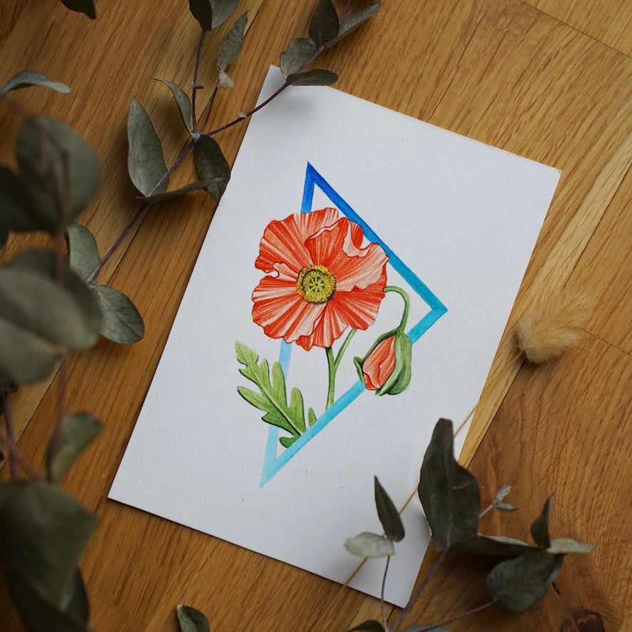 Poppy, watercolor