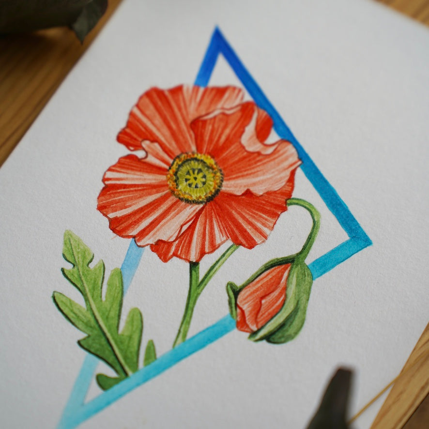 Poppy, watercolor