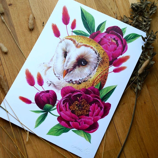 Owl print - A3